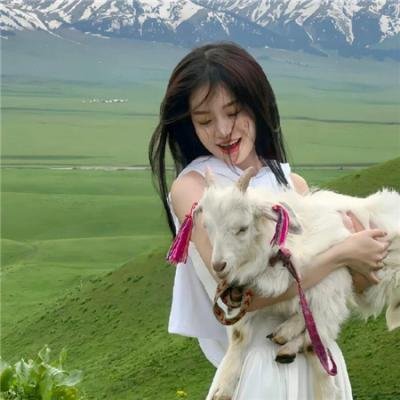 宋秘书又辞职了